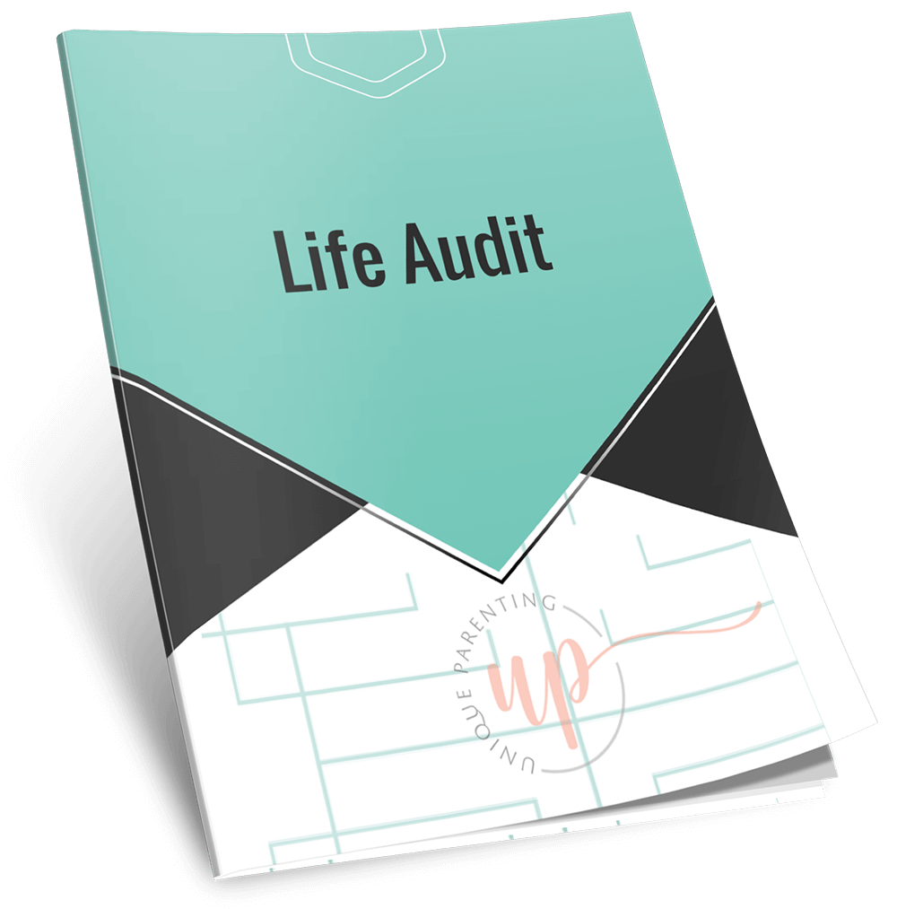 Life Audit